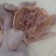 16/18/20西装鸡，通出119/件箱装