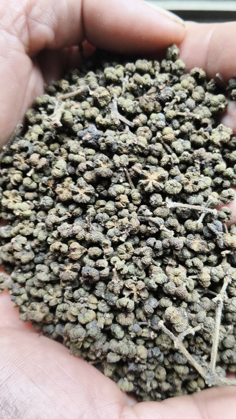 吴茱萸，中花吴茱萸，吴茱萸干货，江西中花吴茱萸
