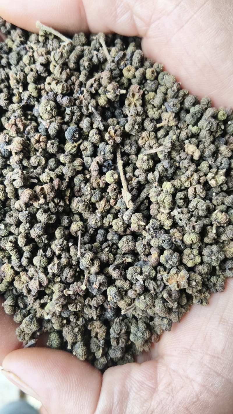吴茱萸，中花吴茱萸，吴茱萸干货，江西中花吴茱萸