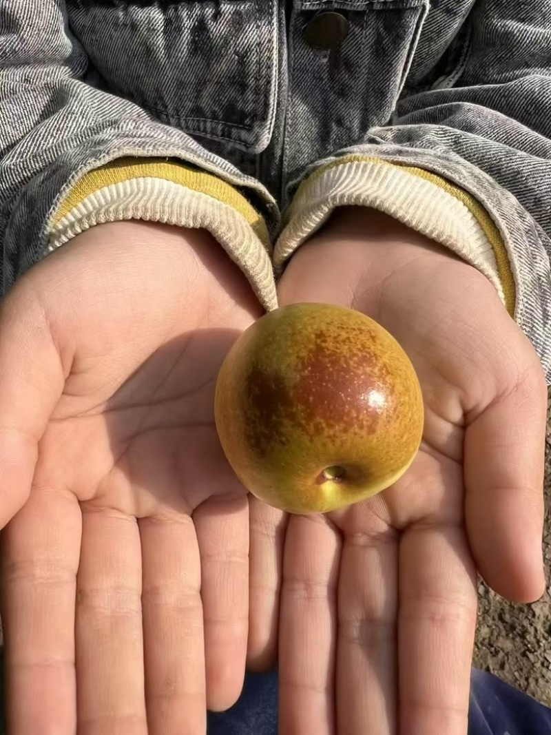 家里有地，欢迎询价***********1