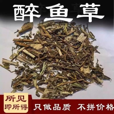 醉鱼草中药材正品醉鱼草自然晾晒无硫熏***