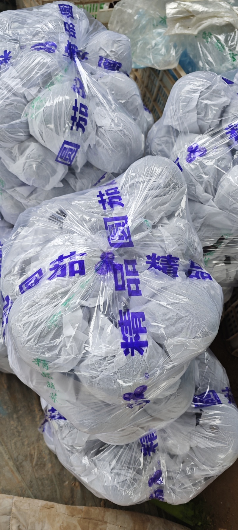 山东紫光圆茄，大量上市中专业对接市场，电商，商超，欢迎前