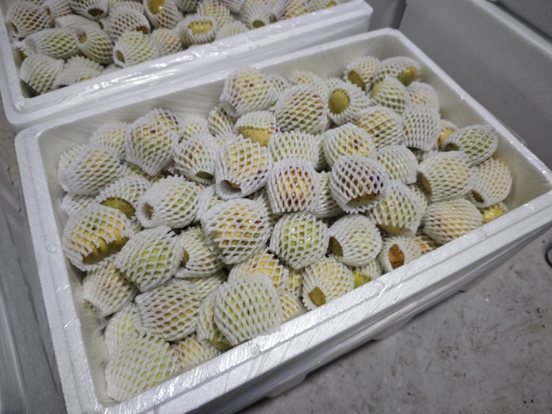 精选蟠枣、自产自销