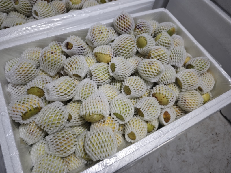 精选蟠枣、自产自销