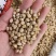 中药材华佗豆拐子豆跌打豆2025年新货颜色好