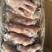 精品猪头肉，熟猪头肉，去骨无毛处理的很干净