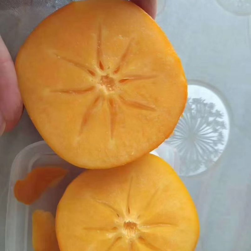 柿子脆柿