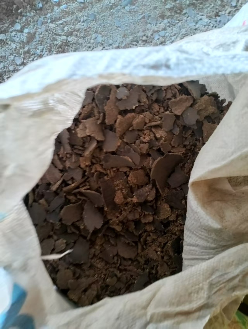 菜籽饼肥料地里用种姜种蒜种葱好料
