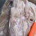 精品一级猪耳朵，干净无毛，证件齐全，一件20斤