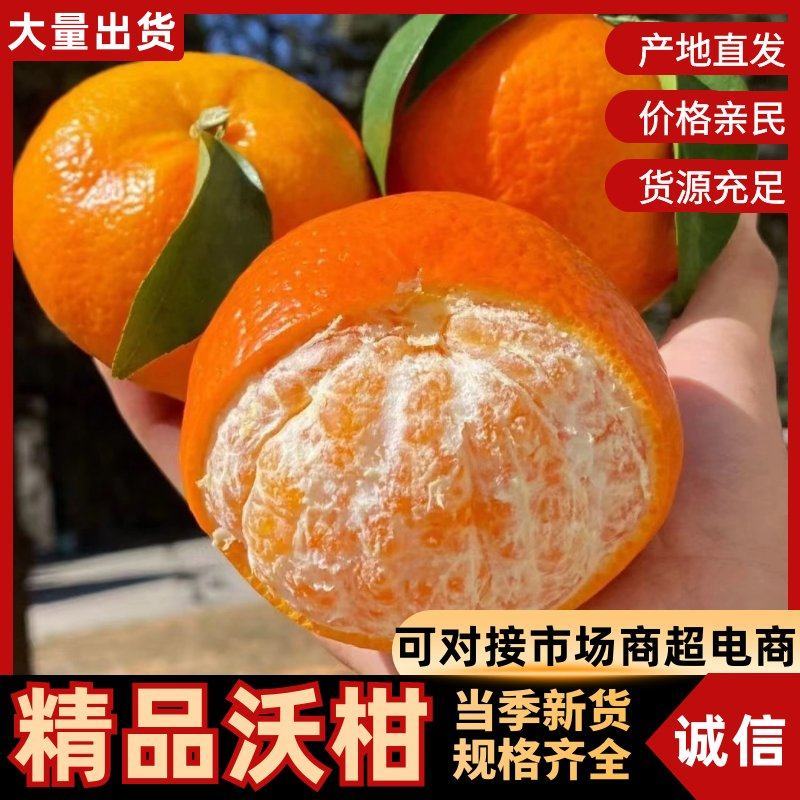 沃柑柑桔大量现货供应，现摘现发，口感好，糖度高，价格可谈