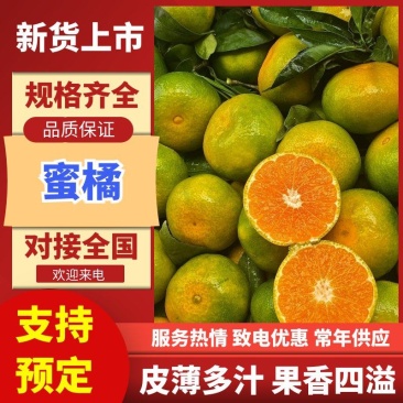 蜜橘云南蜜橘高山蜜橘，品类齐全，价格可谈，欢迎电联
