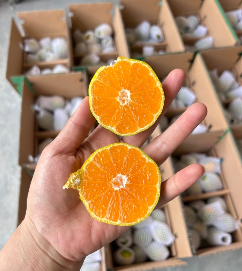 蜜橘云南蜜橘高山蜜橘，品类齐全，价格可谈，欢迎电联