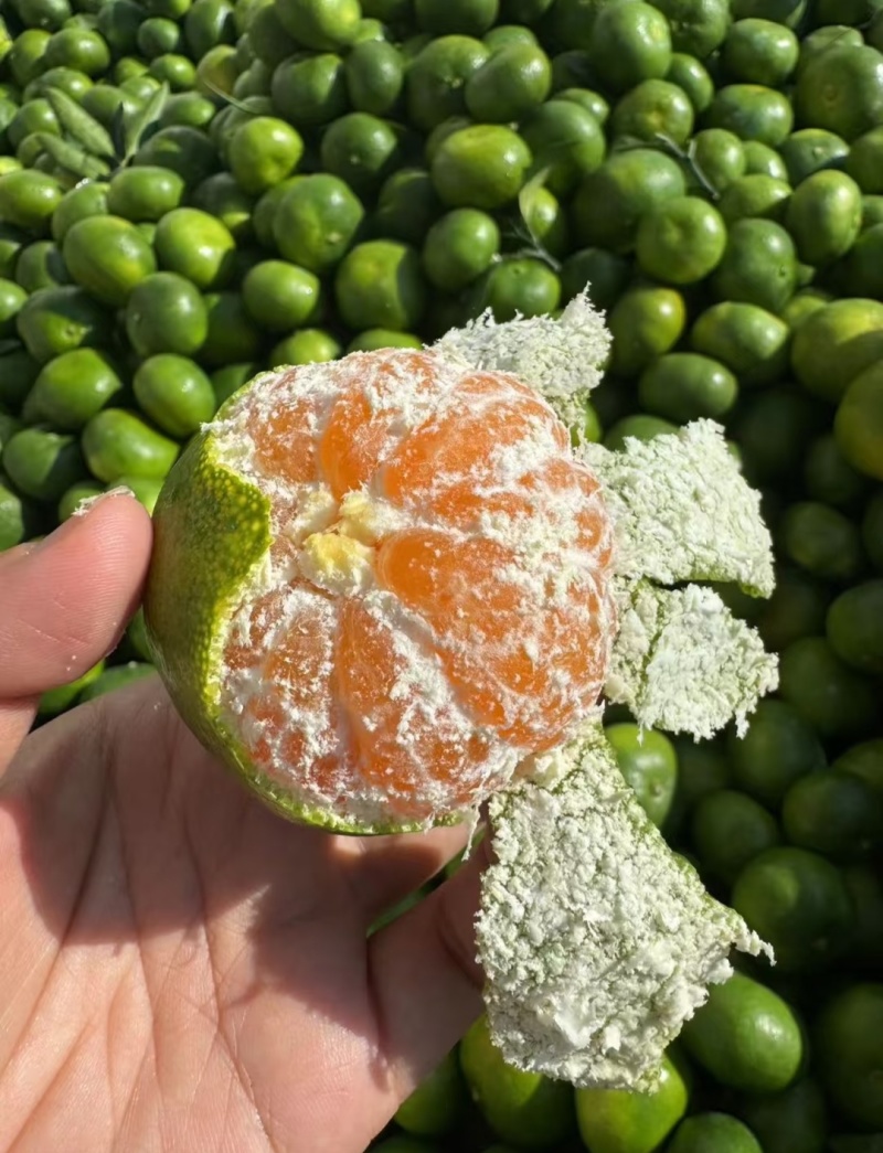 蜜橘云南蜜橘高山蜜橘，品类齐全，价格可谈，欢迎电联