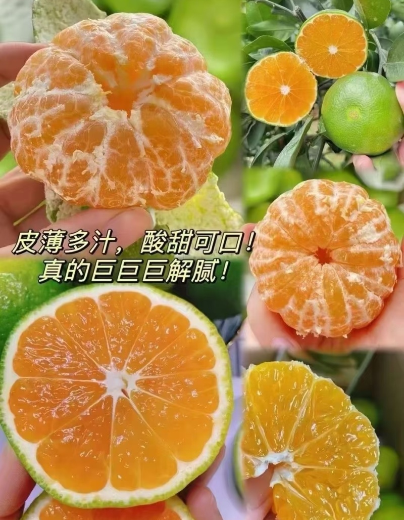 蜜橘云南蜜橘高山蜜橘，品类齐全，价格可谈，欢迎电联