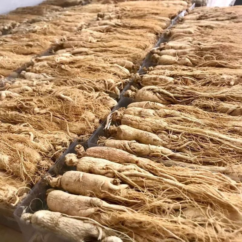 500克长白山干人参人参片生晒参人参须整盒规格白参煲汤泡