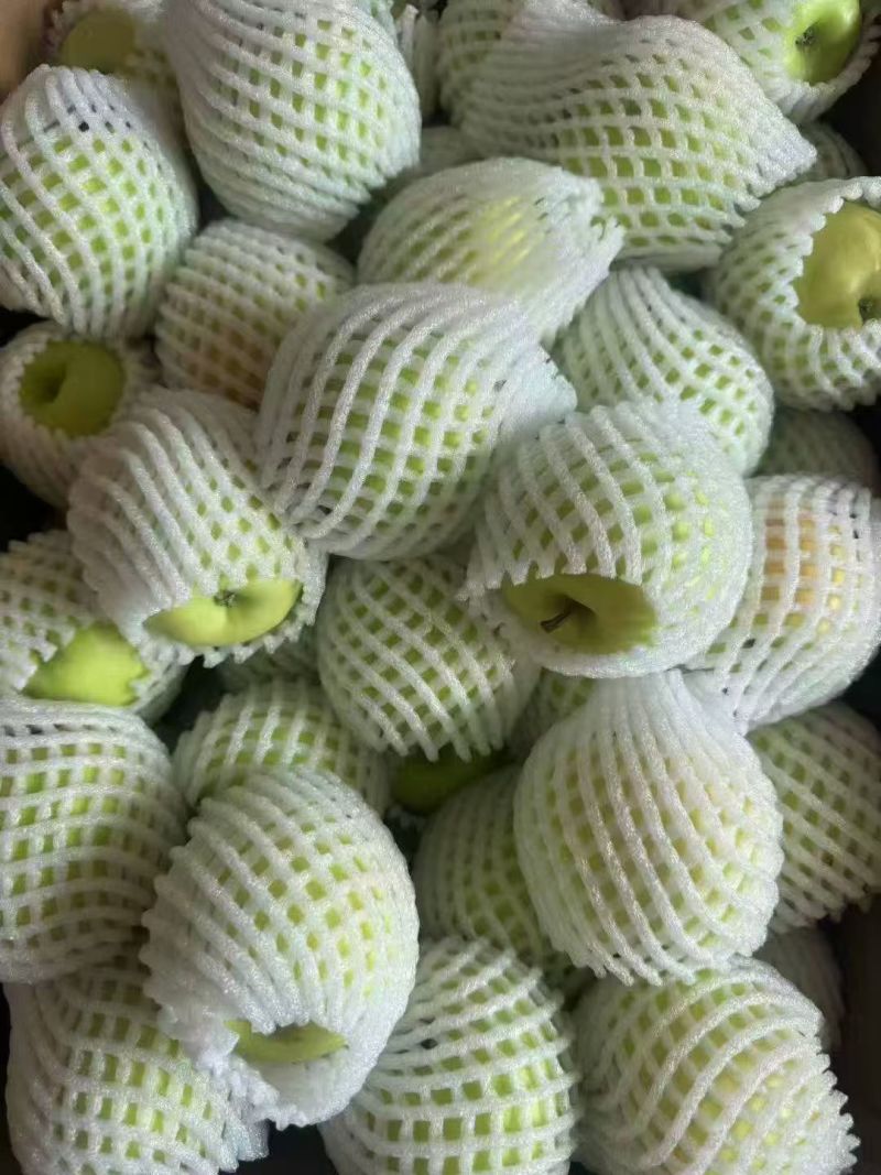 小金金冠苹果