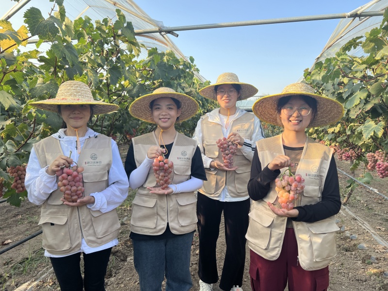 陕西生态果园妮娜皇后自有基地可视频看货欢迎咨询