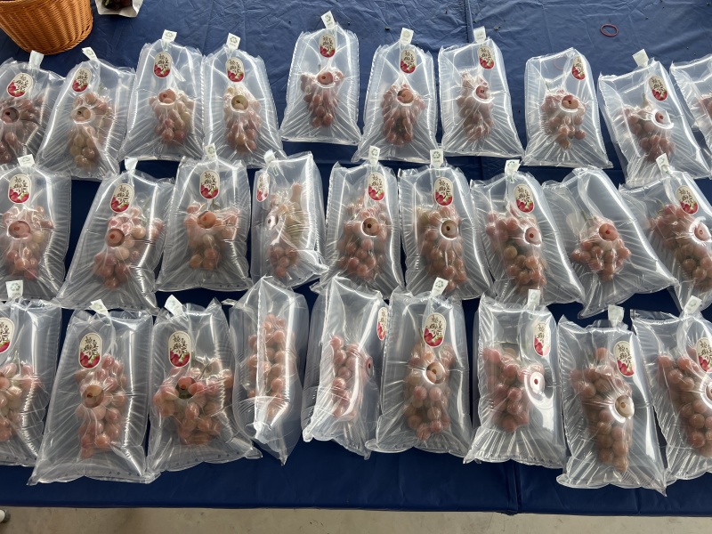 陕西生态果园妮娜皇后自有基地可视频看货欢迎咨询
