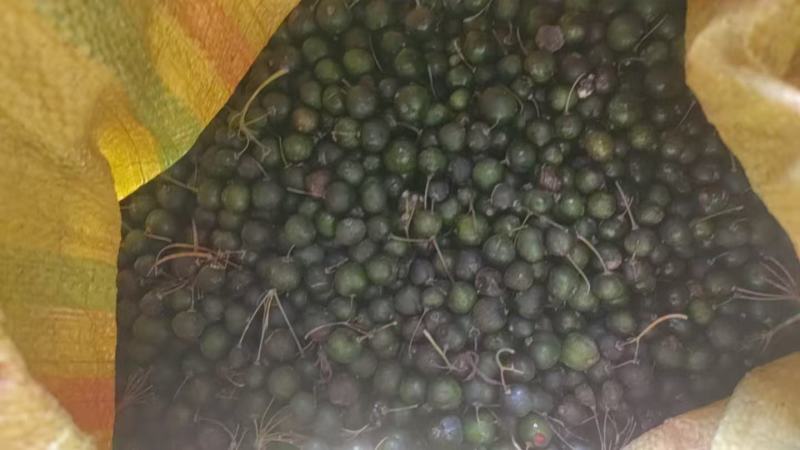大量出售黄精干鲜货种子