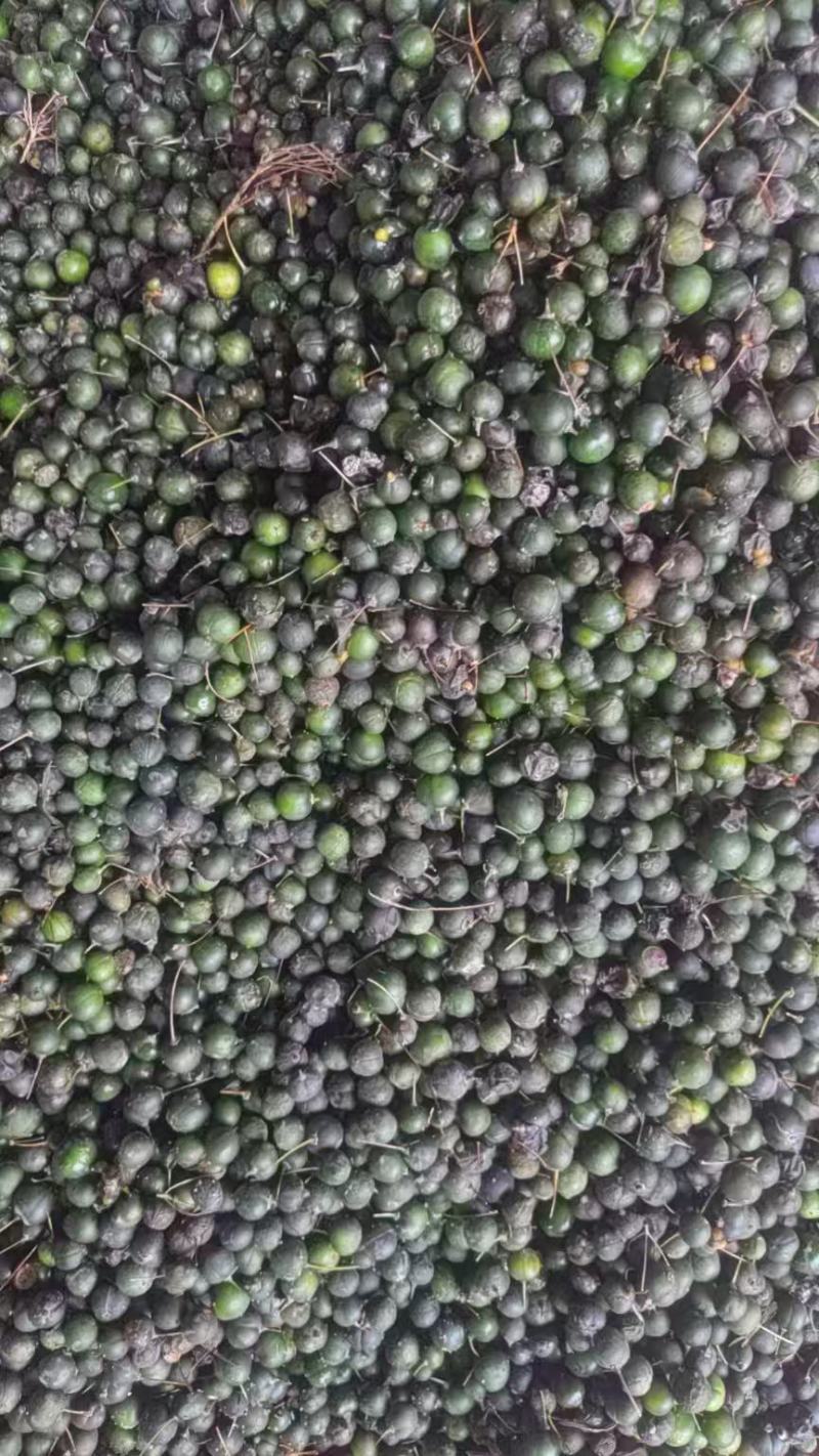 大量出售黄精干鲜货种子