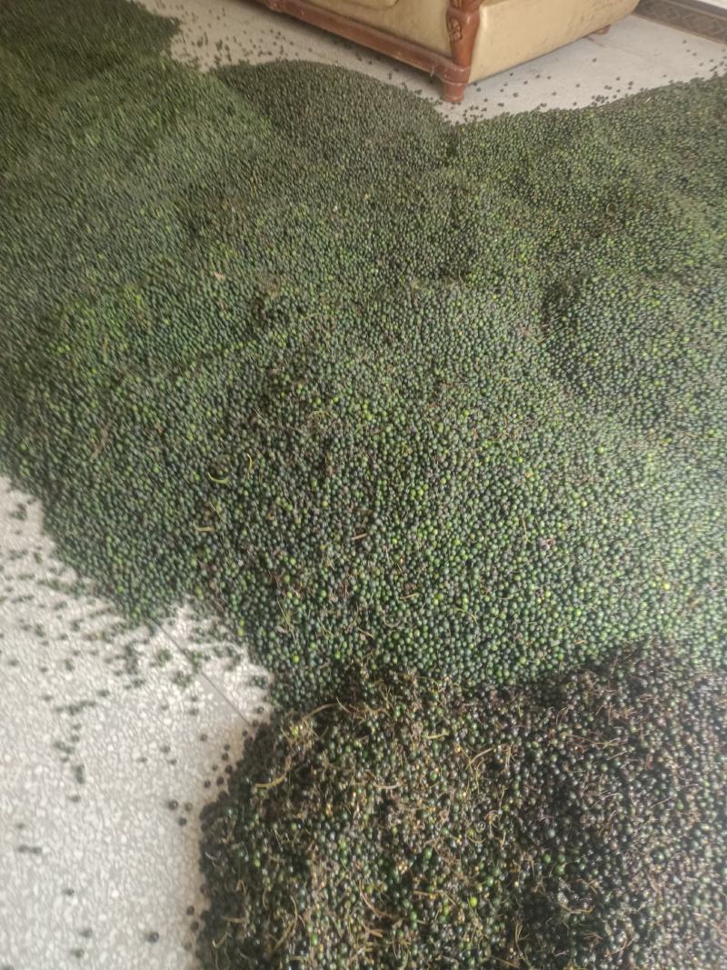 大量出售黄精干鲜货种子