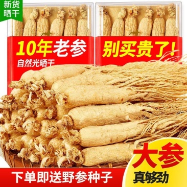 野山参生晒参白参人参长白山人参礼