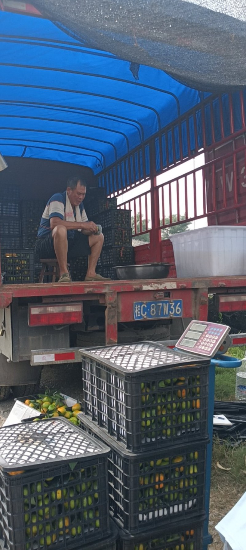 广西桂林兴安特早专业代办