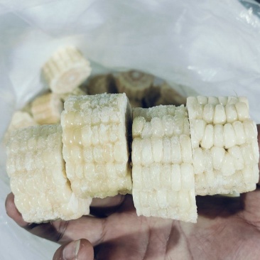 精品3公分糯玉米段