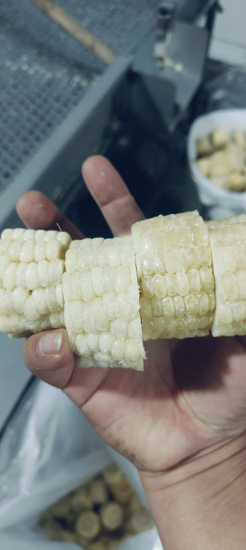 精品3公分糯玉米段