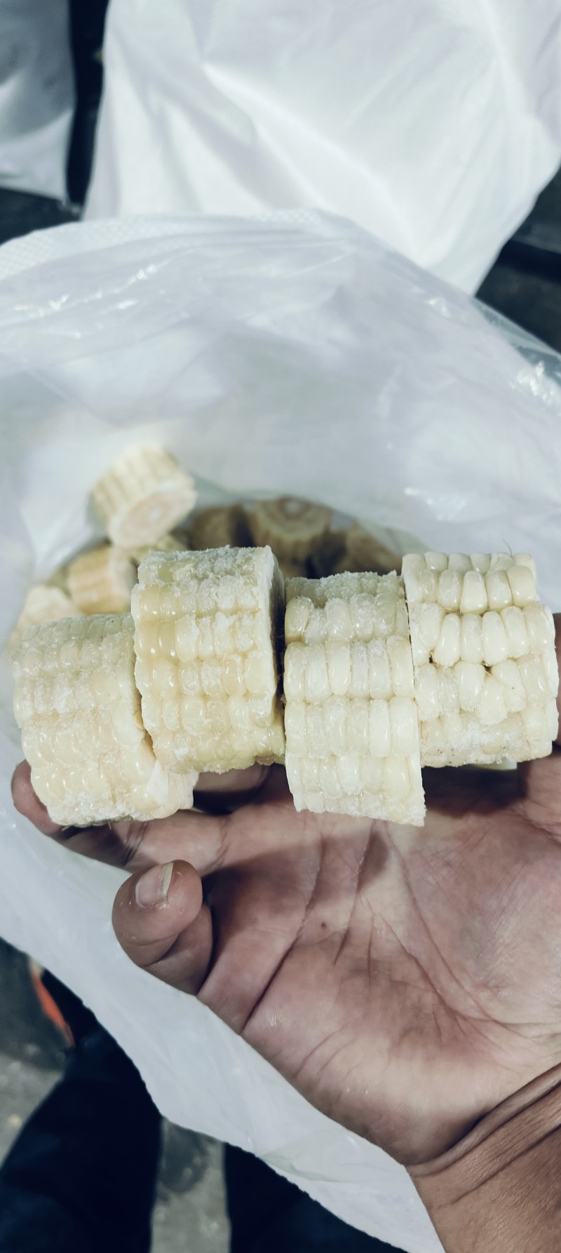 精品3公分糯玉米段