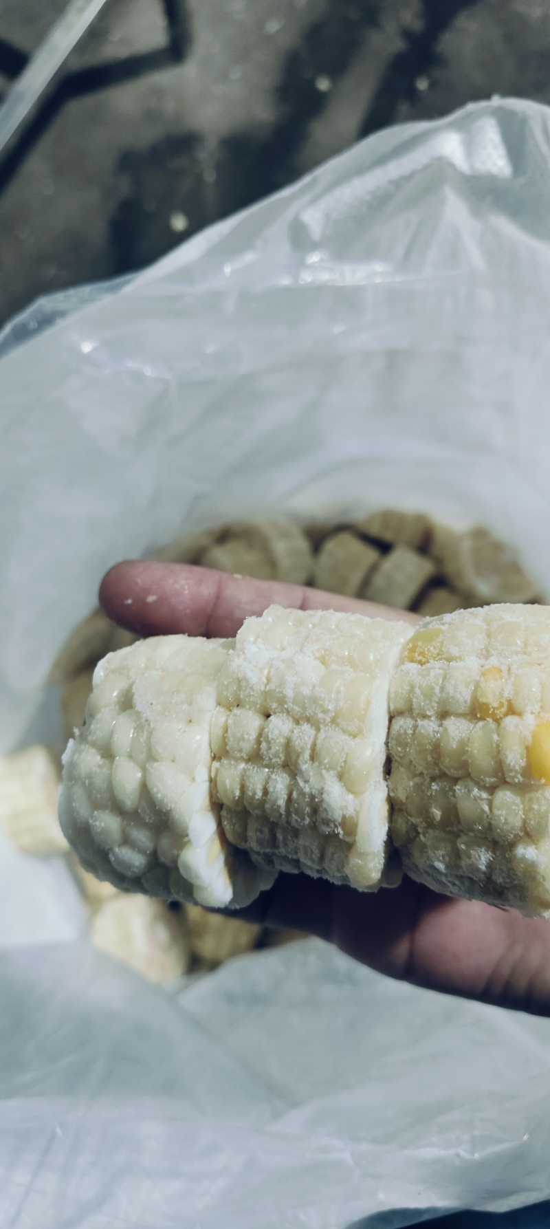 精品3公分糯玉米段