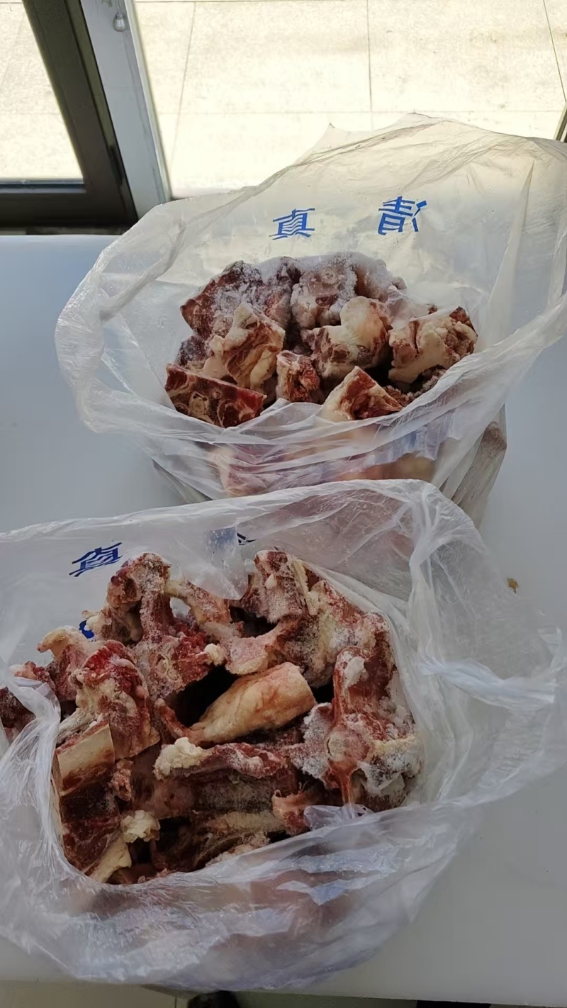 河北羊蝎子大量有货，视频看货对接全国，欢迎致电