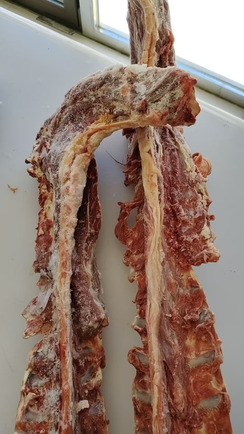 河北羊蝎子大量有货，视频看货对接全国，欢迎致电