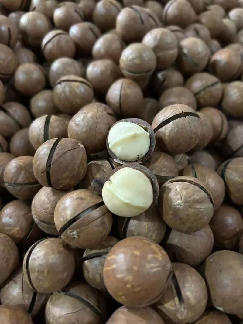 夏威夷果