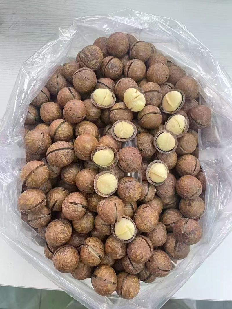 夏威夷果