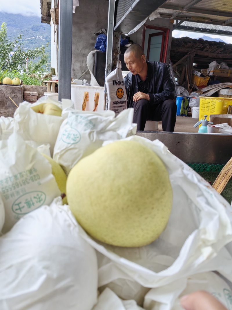 套袋精品金花梨