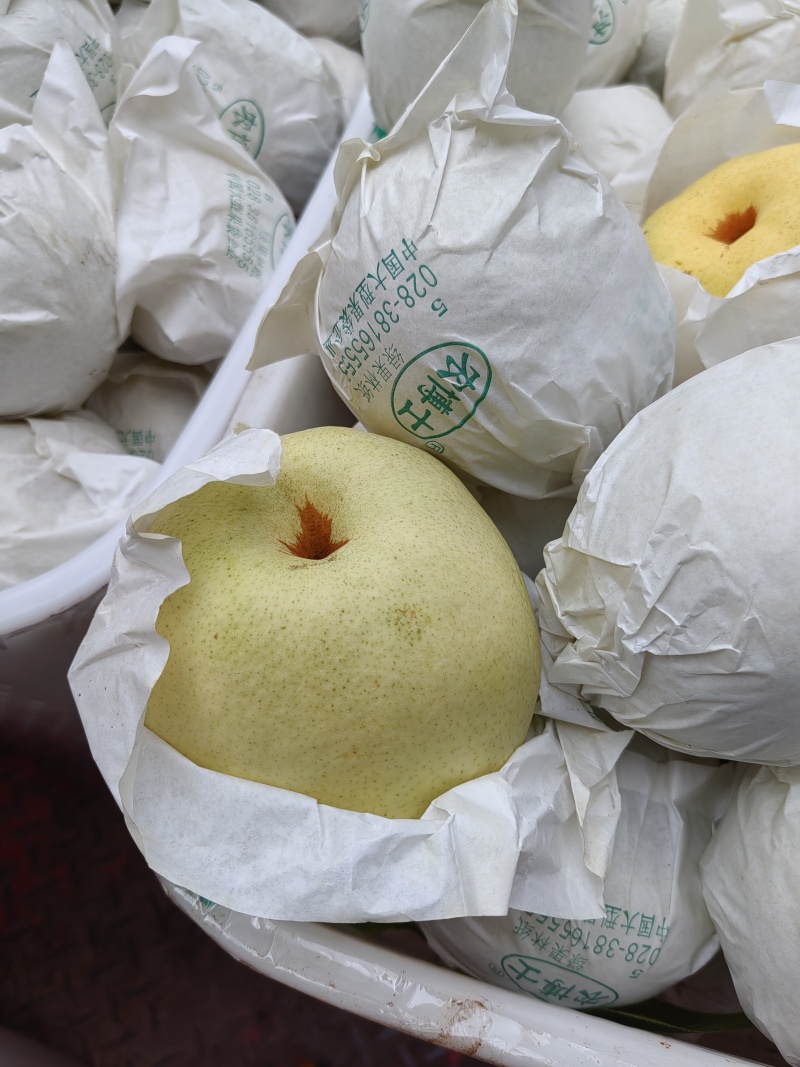 套袋精品金花梨