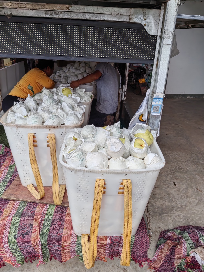 套袋精品金花梨