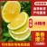 冰糖橙云南橙子一手货源，现摘现发，品质保证，视频看货