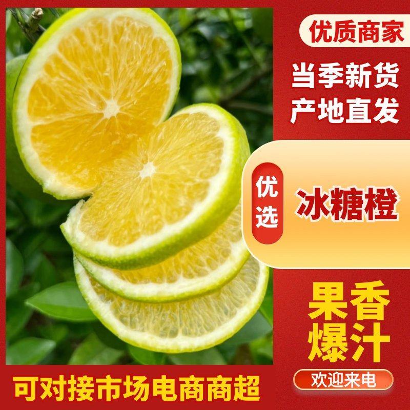 冰糖橙云南橙子一手货源，现摘现发，品质保证，视频看货