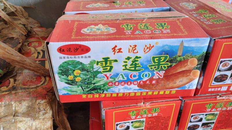 云南省红河州泸西县高山雪莲果
