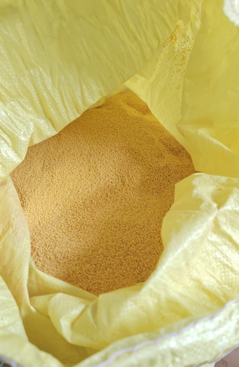 荥阳崔庙小米300斤