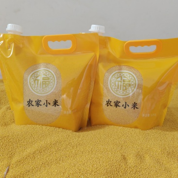 荥阳崔庙小米300斤
