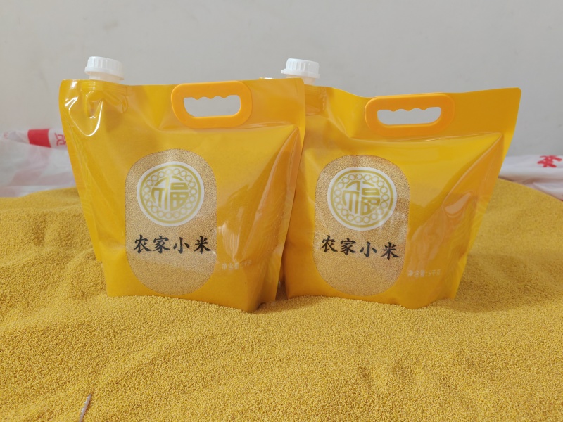 荥阳崔庙小米300斤
