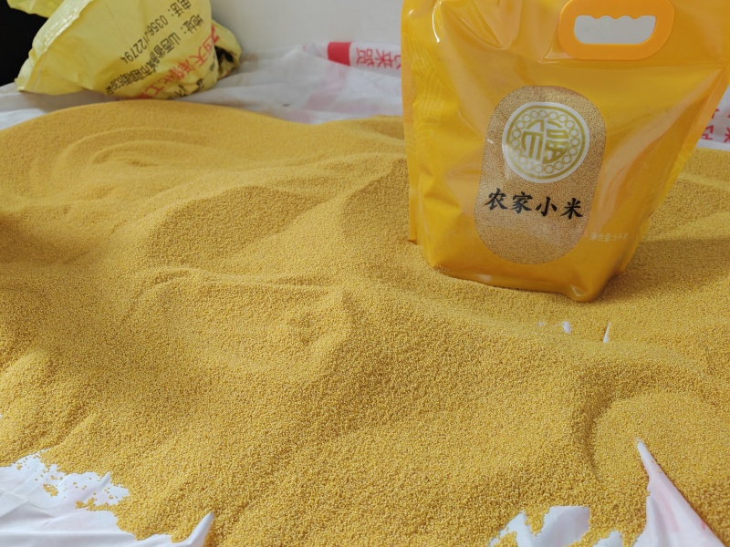荥阳崔庙小米300斤