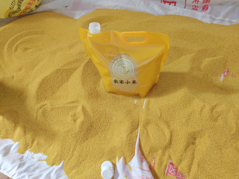 荥阳崔庙小米300斤