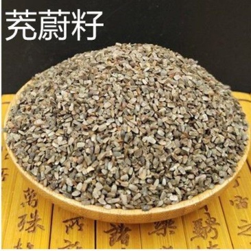 茺蔚子益母草籽