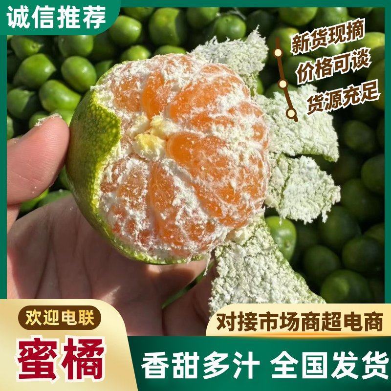 蜜橘云南高山蜜橘，皮薄肉甜现摘现发，供应全国电商市场批发