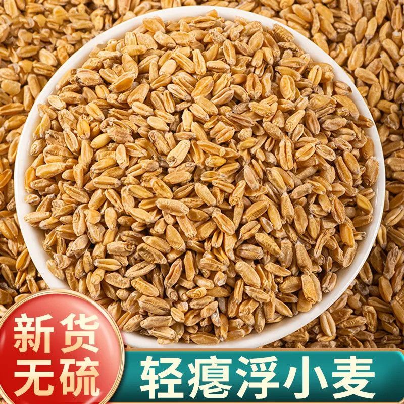 浮小麦中药材品质保障轻浮无硫中药材合作共赢