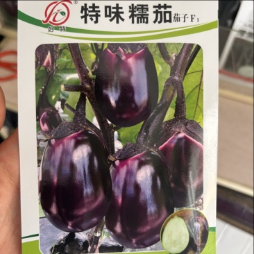 绿肉糯味紫红茄圆茄种子